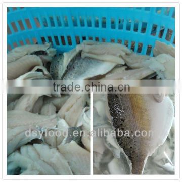 fujian factory of frozen seabass fillet/ sea bass fillet