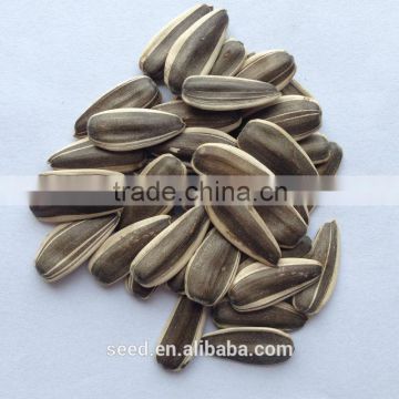 chinese organic sunflower seeds S1403