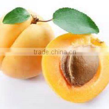40ml Apricot Kernel Oil