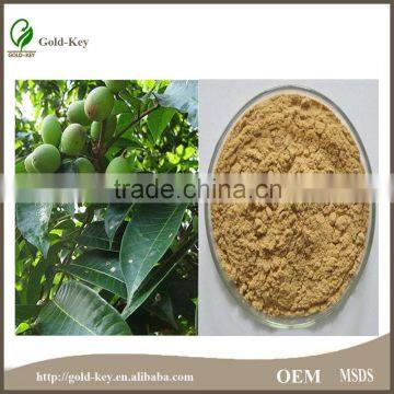 Pure Natural Hot Selling Olive Leaf Extract Powder photo-5