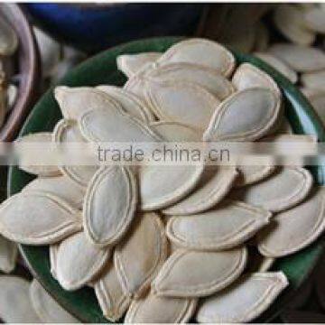 10mm+ 11mm Yellow Color Shine Skin Pumpkin Seeds photo-3