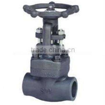 Forged Socket Weld Gate Valve