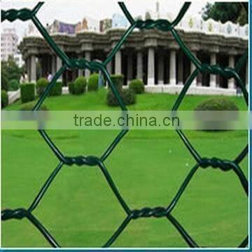 hot dipped galvanized Hexagonal Wire Netting