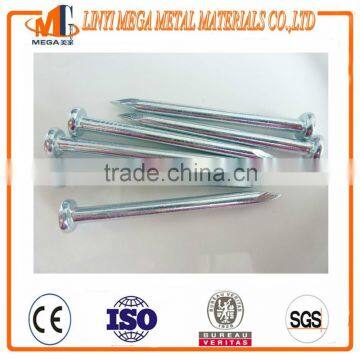 Stainless Steel Concrete Nail photo-5