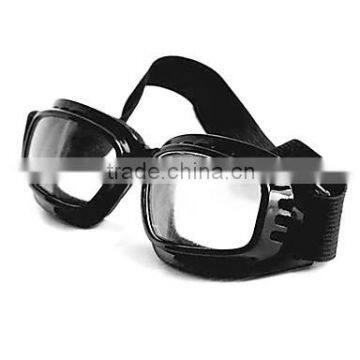 Anti-Wind Acrylic Fashion Ski Goggles