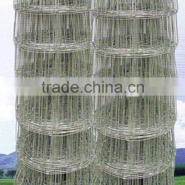 cattle mesh fence/animal fence