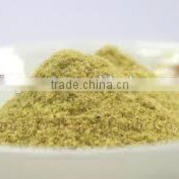 Chinese frozen Dried FD kiwi Powder for sale