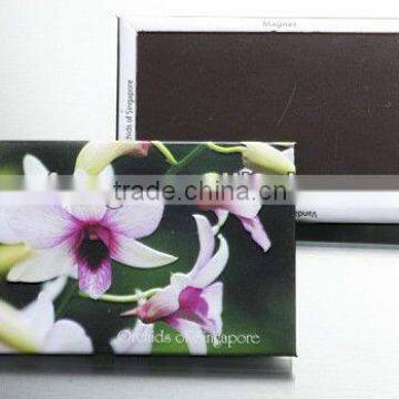 2013 Tin Magnet Of Gift