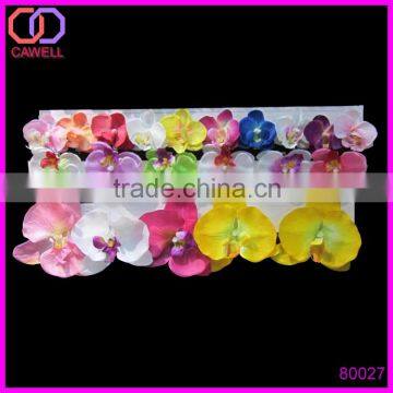 55mm phalaenopsis orchids flower heads