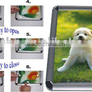 Animal photo frame