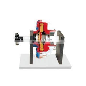 Anatomical Fluid coupling model of automotive training equipment