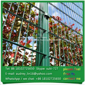 Heavy gauge decorative wire mesh double 8/6/8 fencing for garden