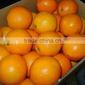 2015 Fresh Navel Orange From Jiangxi on Sell photo-2
