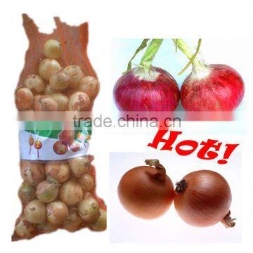 2013 Fresh Organic Onion