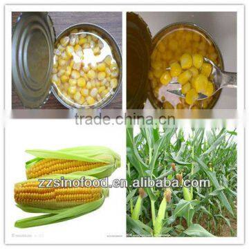 High Quality Canned Food Canned Sweet Corn in tins Packaging