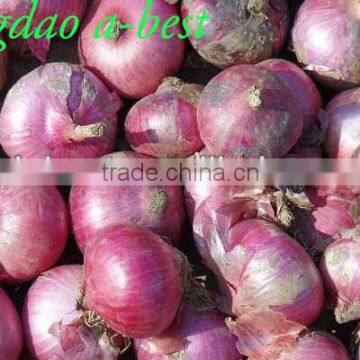 Chinese Fres Onion