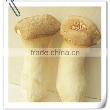 brined cutted pleurotus eryngii mushroom