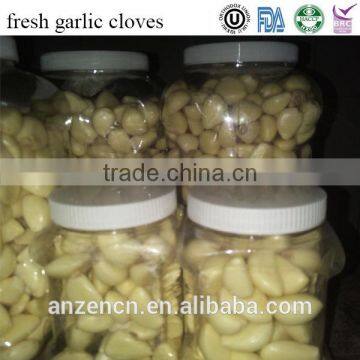 Premium Fresh Garlic Cloves From Jinxiang photo-2