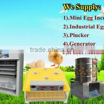 High Quality Chicken Plucker for Sale photo-5