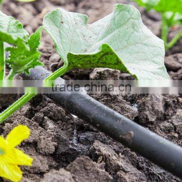 Black watering drip irrigation pipe/drip tape for row crops drip irrigation