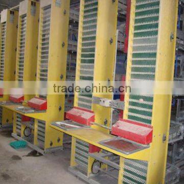 poultry egg collecting system machine