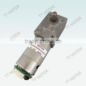 TWG4058-555-EN 12V 24V DC Worm Gear brushed Motor