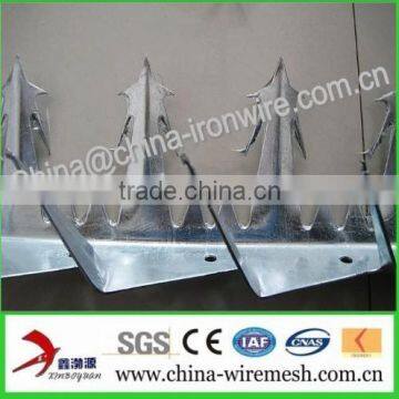 Galvanized Barbed Nails / barbed nails ( factory )