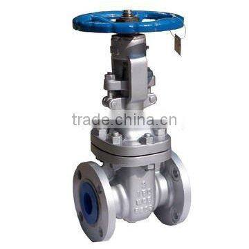 Class 150-1500 Cast Steel Gate Valve