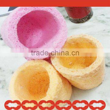 Biodegradable Sponge Cultivating Pot
