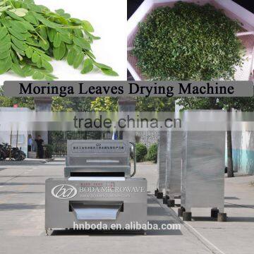 Moringa leaves drying sterilizing machine