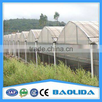 Multi-span Tunnelgreenhouse for Fruit photo-4