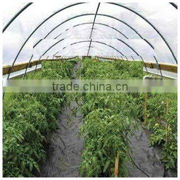 Anti-uv 1.1x50m 100% pp Ground Cover