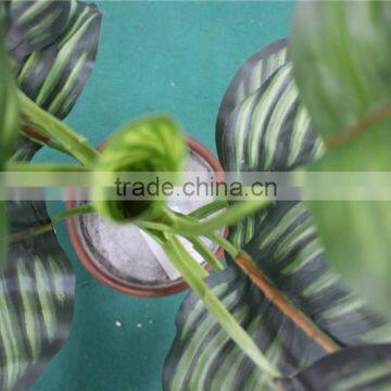 Artificial Bonsai Plants Artificial Zebra Evergreen Bonsai Decor photo-3