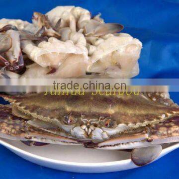 deep sea quality sea blue crab recipes