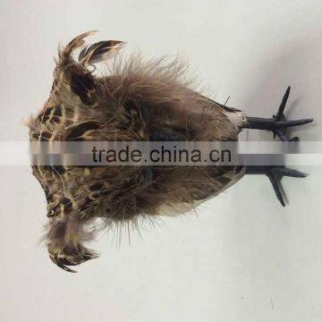 Halloween Products photo-3