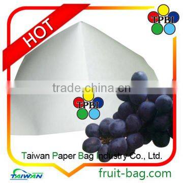 TPBI Black and White Growing Bag Fruit and Vegetable Protection Paper Bag Grape Growing Paper Bag