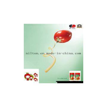 The World Gourmet - Nilton Tomato Paste Sauces photo-2