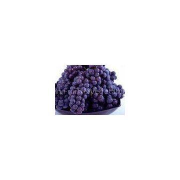 Health Currant Fresh Purple Grapes 23mm with Haccp , Global Gap