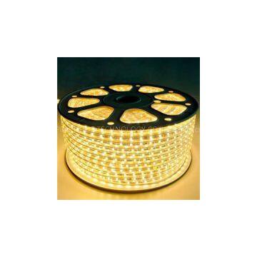 2835 Rope Light