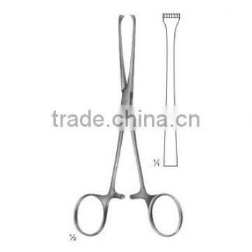 Allis forceps