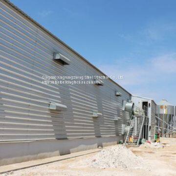 Steel Structure Chicken House Design Chicken House for Sale Cage Layer Chicken House China photo-2