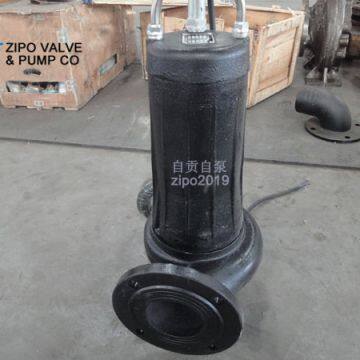 ZIPO Brand ZWQ Type Cast Iron Submersible Sewage Pump photo-4