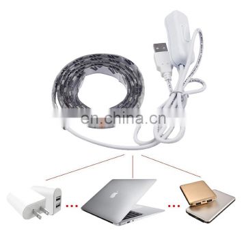 white/ warm white led strip light USB cable with on off switch