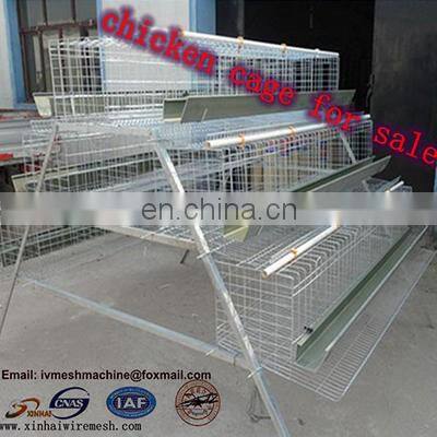 Hot Selling Africa Chicken Cage for Sale Automatic Chicken Layer Cage for Sale photo-4