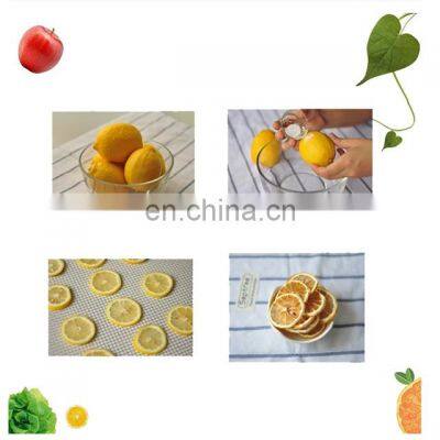16 Racks Stainless Steel Commercial Electric Food Dehydrator Fruit Dryer Machine Price photo-4