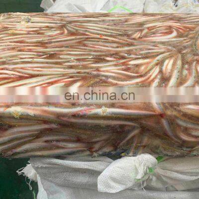 Good Price Frozen Sand Lance Whole Round photo-3