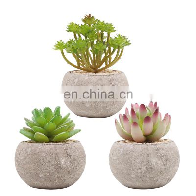 Genuine Wholesale Decorative Plant Bonsai Ornament Mini Set Plants Potted Artificial Succulent Plants With Pot