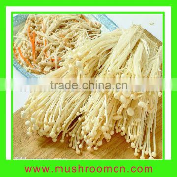 Edible Fungi Enoki mushroom