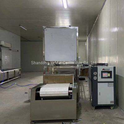 Industrial Tunnel Microwave Frozen Cream Defrost Equipment