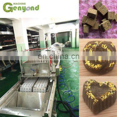 Custom Automatic Jaggery Plant Production Line With Low Price photo-2